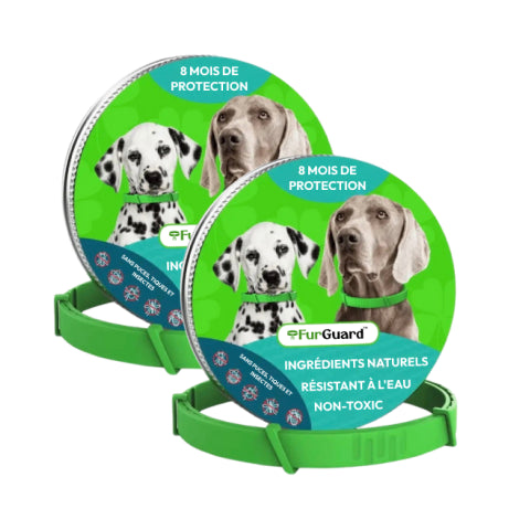 Collier antiparasitaire pour chien FurGuard™