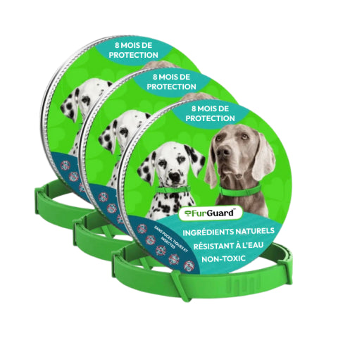 Collier antiparasitaire pour chien FurGuard™